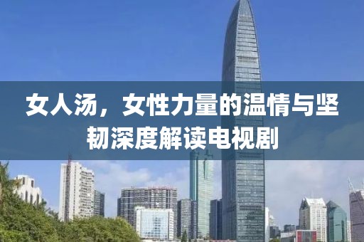 女人汤，女性力量的温情与坚韧深度解读电视剧