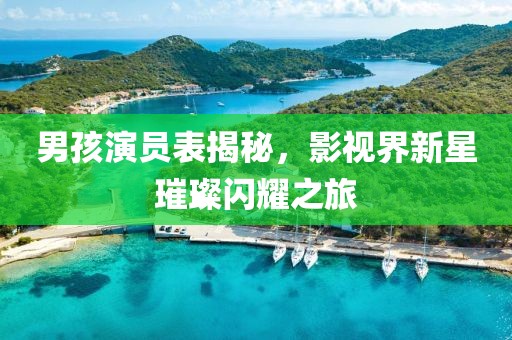 男孩演员表揭秘，影视界新星璀璨闪耀之旅
