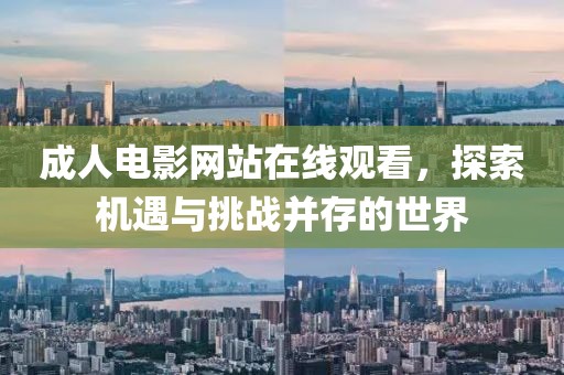 成人电影网站在线观看，探索机遇与挑战并存的世界
