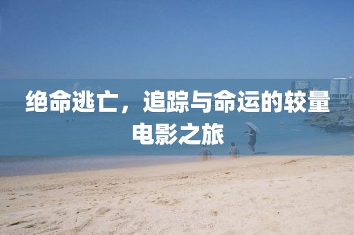 绝命逃亡，追踪与命运的较量电影之旅