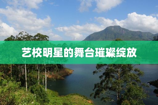 艺校明星的舞台璀璨绽放