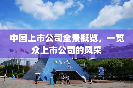 中国上市公司全景概览，一览众上市公司的风采