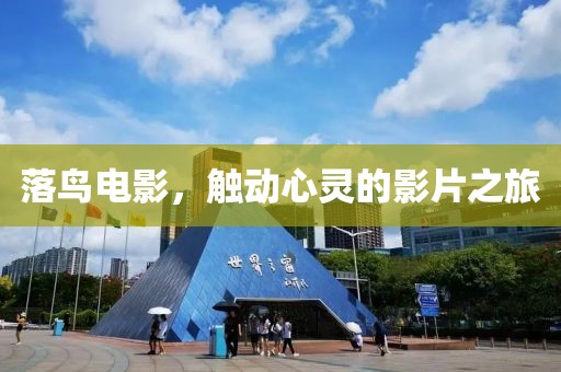 落鸟电影，触动心灵的影片之旅