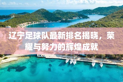 辽宁足球队最新排名揭晓，荣耀与努力的辉煌成就