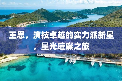 王思，演技卓越的实力派新星，星光璀璨之旅