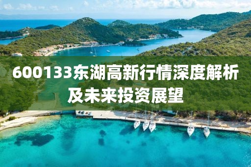 600133东湖高新行情深度解析及未来投资展望