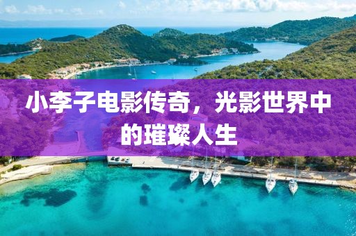 小李子电影传奇，光影世界中的璀璨人生