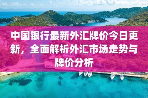 中国银行最新外汇牌价今日更新，全面解析外汇市场走势与牌价分析
