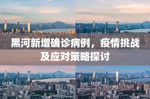 黑河新增确诊病例，疫情挑战及应对策略探讨