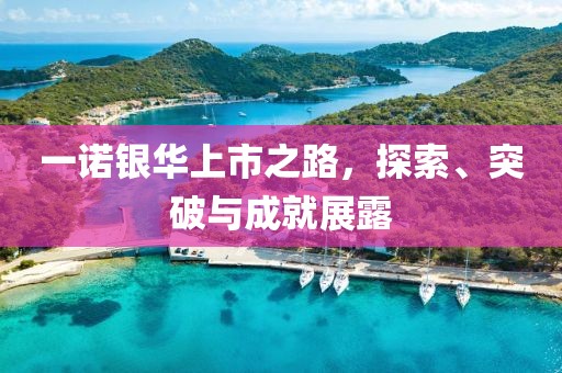 一诺银华上市之路，探索、突破与成就展露