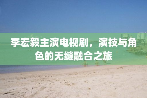李宏毅主演电视剧，演技与角色的无缝融合之旅