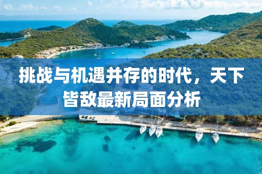 挑战与机遇并存的时代，天下皆敌最新局面分析