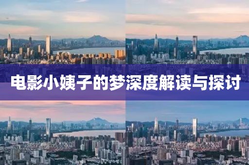 电影小姨子的梦深度解读与探讨
