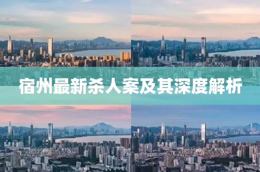 宿州最新杀人案及其深度解析