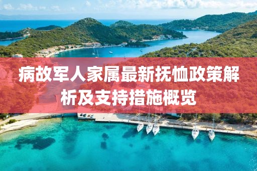 病故军人家属最新抚恤政策解析及支持措施概览
