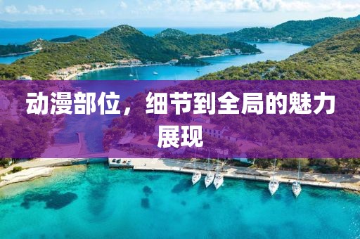 动漫部位，细节到全局的魅力展现