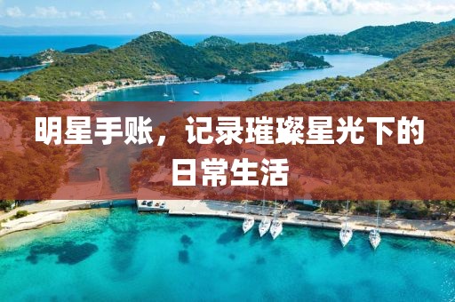 明星手账，记录璀璨星光下的日常生活