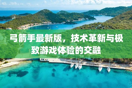 弓箭手最新版，技术革新与极致游戏体验的交融