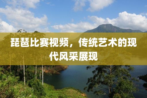 琵琶比赛视频，传统艺术的现代风采展现