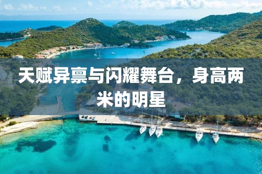 天赋异禀与闪耀舞台，身高两米的明星