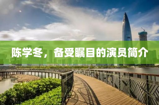 陈学冬，备受瞩目的演员简介