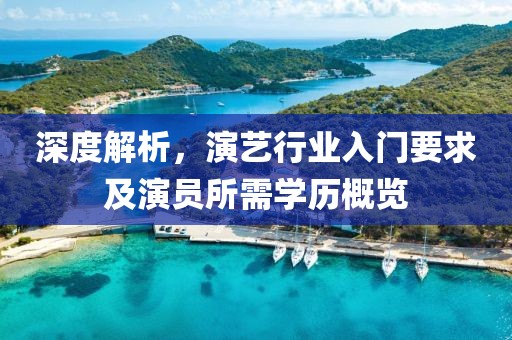 深度解析，演艺行业入门要求及演员所需学历概览