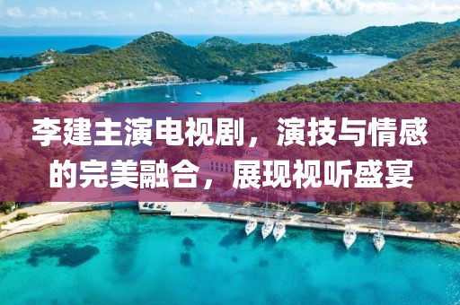 李建主演电视剧，演技与情感的完美融合，展现视听盛宴