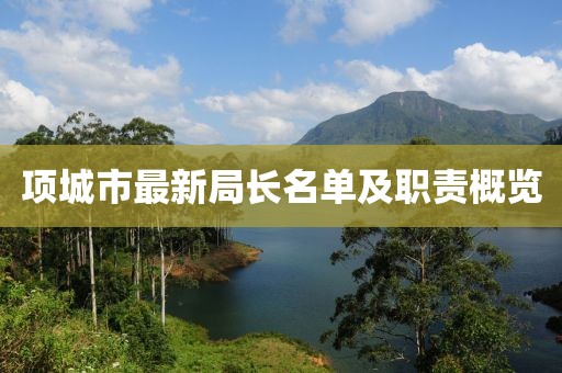 项城市最新局长名单及职责概览