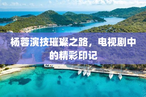 杨蓉演技璀璨之路，电视剧中的精彩印记