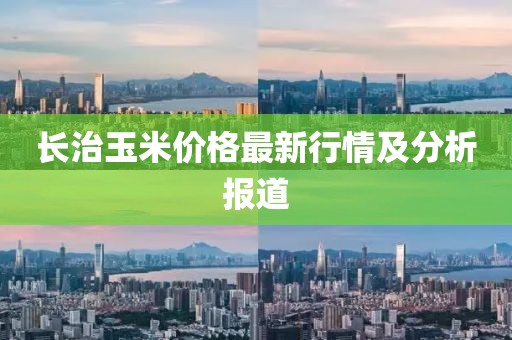 长治玉米价格最新行情及分析报道