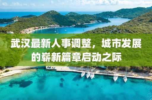武汉最新人事调整，城市发展的崭新篇章启动之际