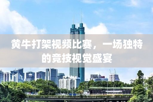 黄牛打架视频比赛，一场独特的竞技视觉盛宴