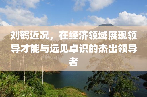 刘鹤近况，在经济领域展现领导才能与远见卓识的杰出领导者