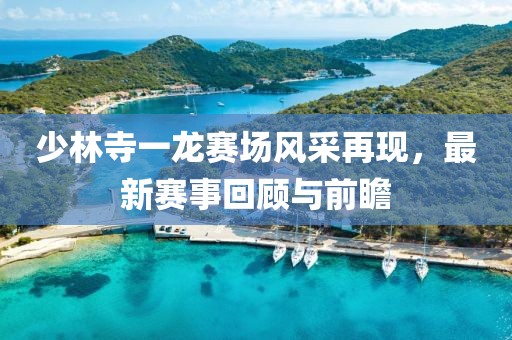 少林寺一龙赛场风采再现，最新赛事回顾与前瞻