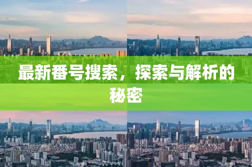 最新番号搜索，探索与解析的秘密