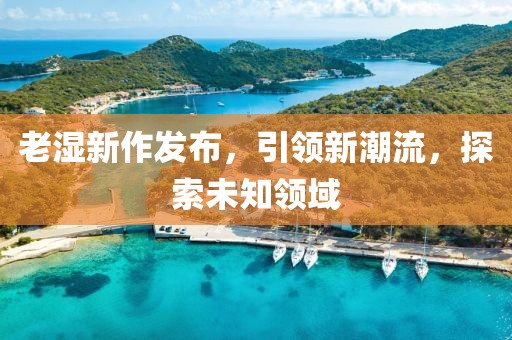 老湿新作发布，引领新潮流，探索未知领域