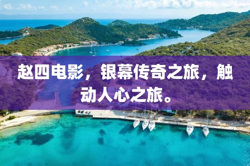 赵四电影，银幕传奇之旅，触动人心之旅。
