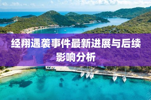 经翔遇袭事件最新进展与后续影响分析
