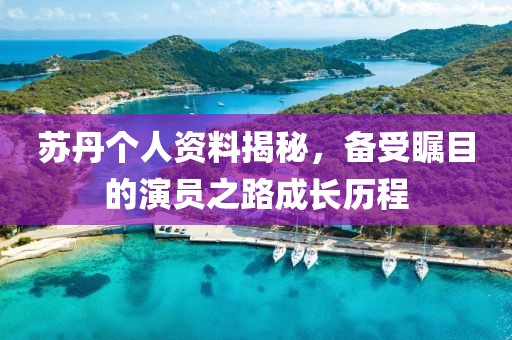 苏丹个人资料揭秘，备受瞩目的演员之路成长历程