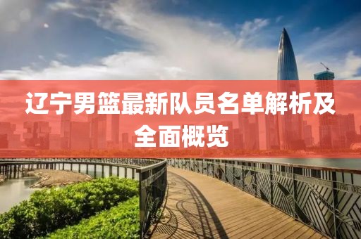 辽宁男篮最新队员名单解析及全面概览