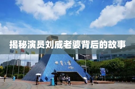 揭秘演员刘威老婆背后的故事