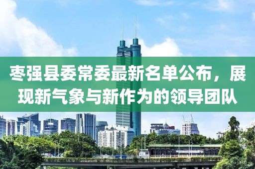 枣强县委常委最新名单公布，展现新气象与新作为的领导团队