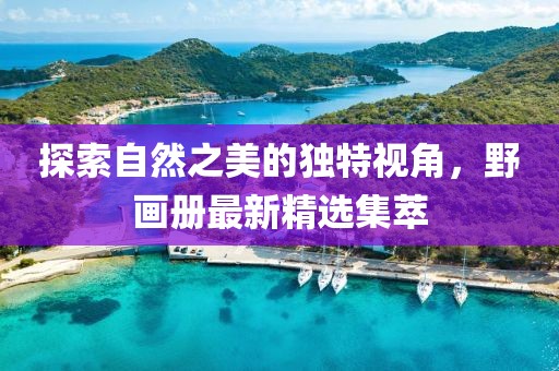 探索自然之美的独特视角，野画册最新精选集萃