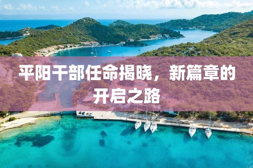平阳干部任命揭晓，新篇章的开启之路