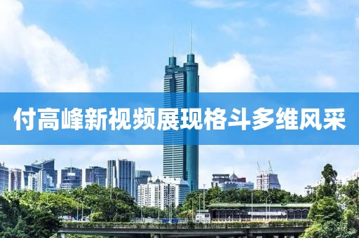 付高峰新视频展现格斗多维风采