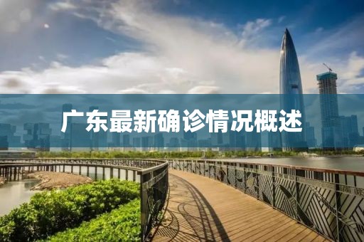 广东最新确诊情况概述