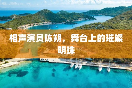 相声演员陈朔，舞台上的璀璨明珠