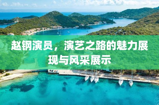 赵钢演员，演艺之路的魅力展现与风采展示