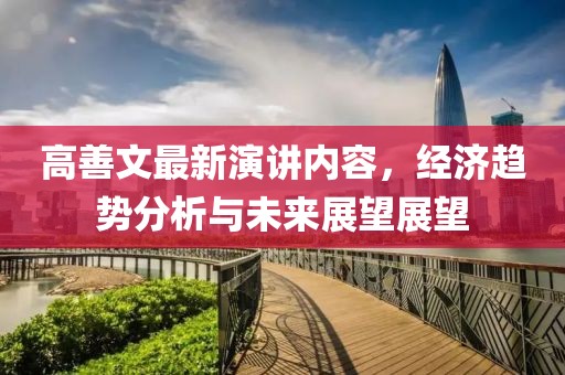 高善文最新演讲内容，经济趋势分析与未来展望展望