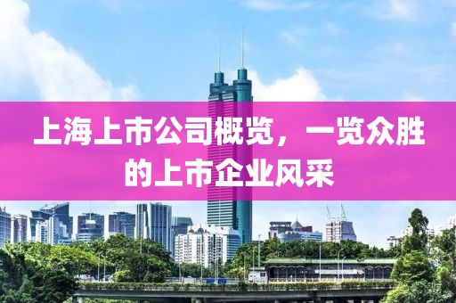 上海上市公司概览，一览众胜的上市企业风采